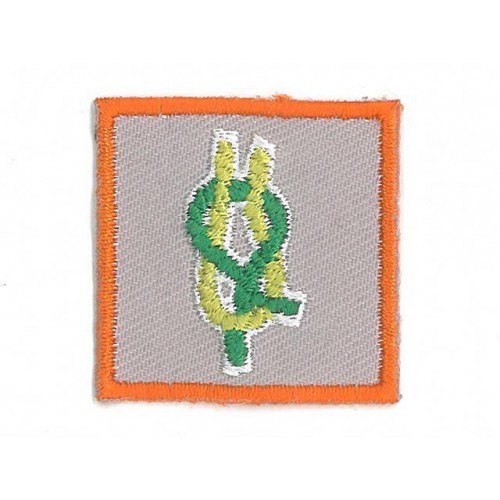 Kwalificatie Bevers Welpen Scouts